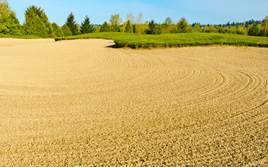 USGA Silica USGA Silica Image